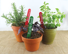 Google Herb Workshop Vinyl Letters Sage Rosemary Basil Oregano Thyme