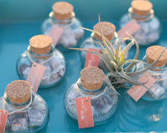 Tramonto Custom Rehearsal Dinner Favor Tags